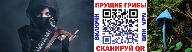 Галлюциногенные грибы Cubensis Печора