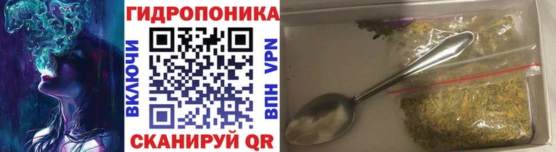 Конопля планчик Печора